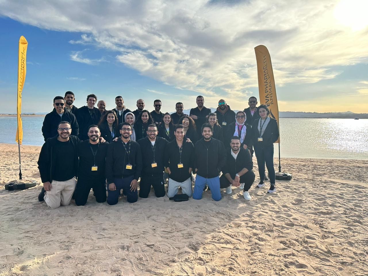 Meet our Team