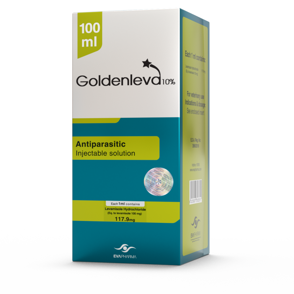 Goldenleva