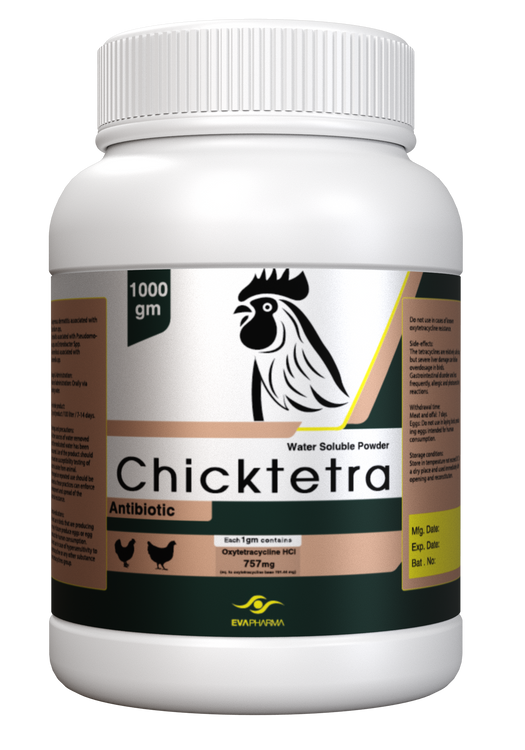 Chicktetra