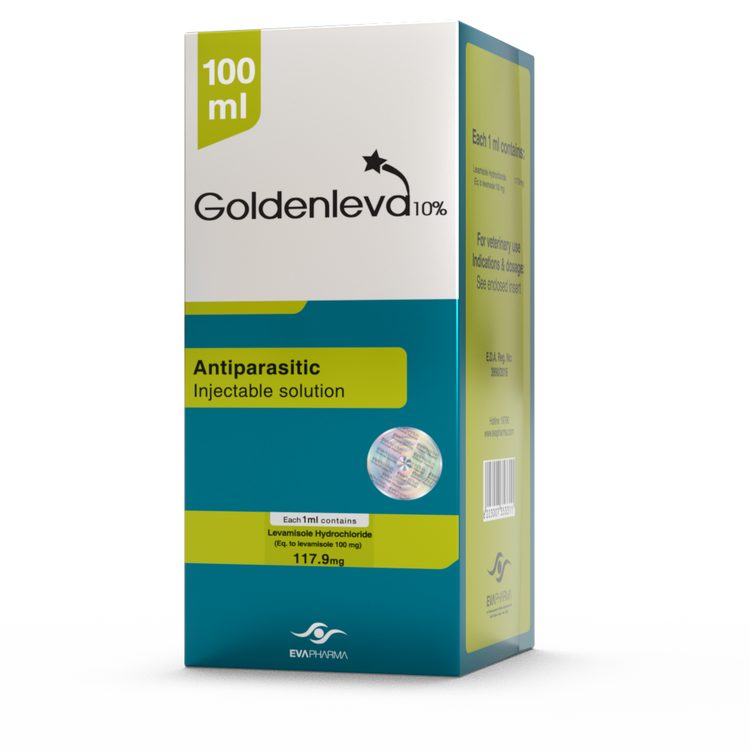 Goldenleva