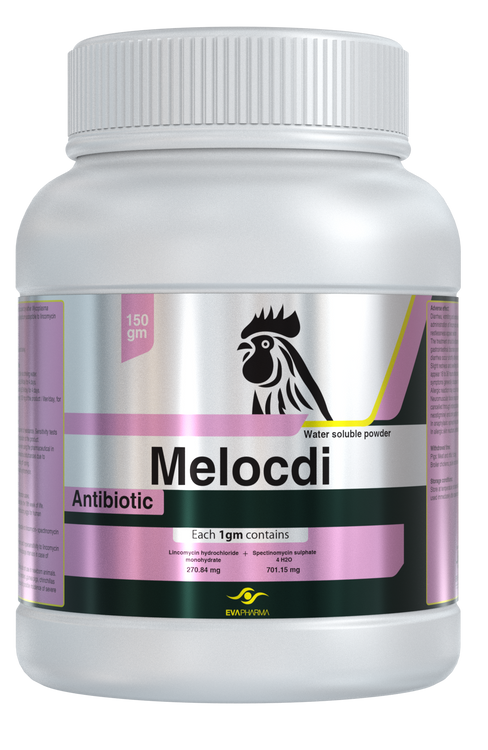 Melocdi