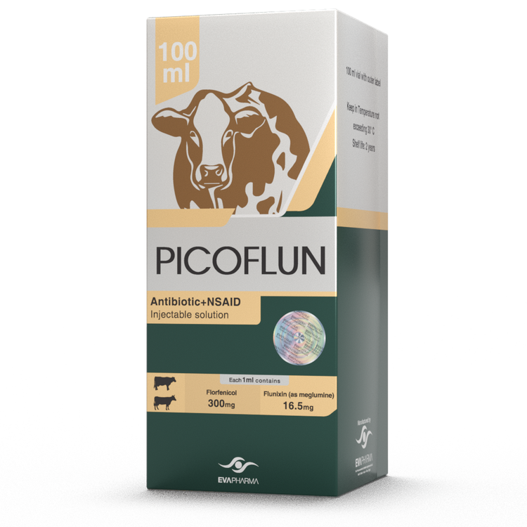 Picoflun