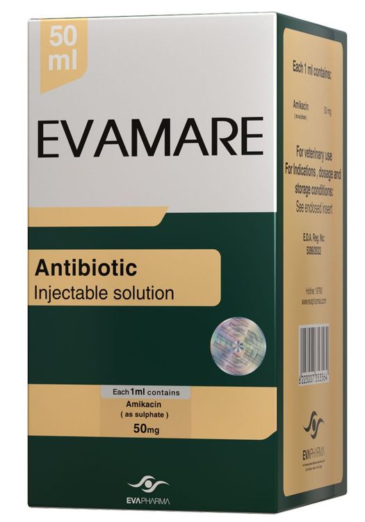 Evamare
